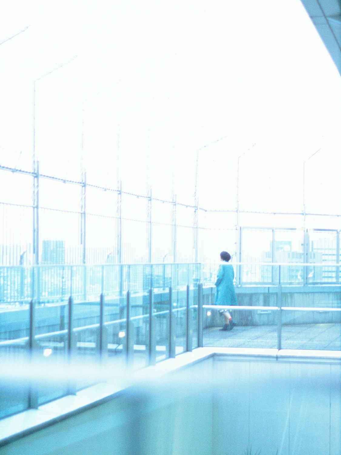 Snap of Shinjyuku, 2019